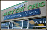 alley cat chic.jpg (117901 bytes)